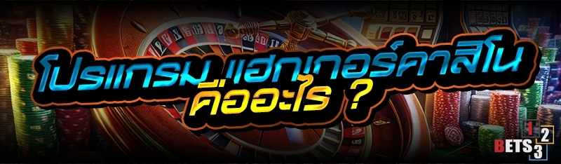 โปรแกรม แฮกเกอร์คาสิโน คืออะไร ? 